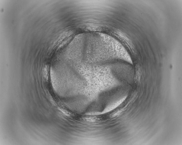 X0000087340121200705111557