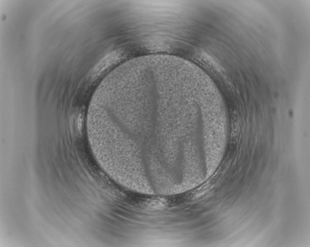 X0000087340124200705111557