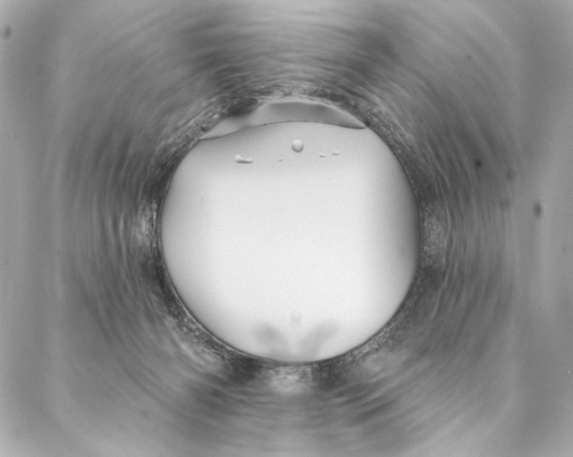 X0000087340126200705111557