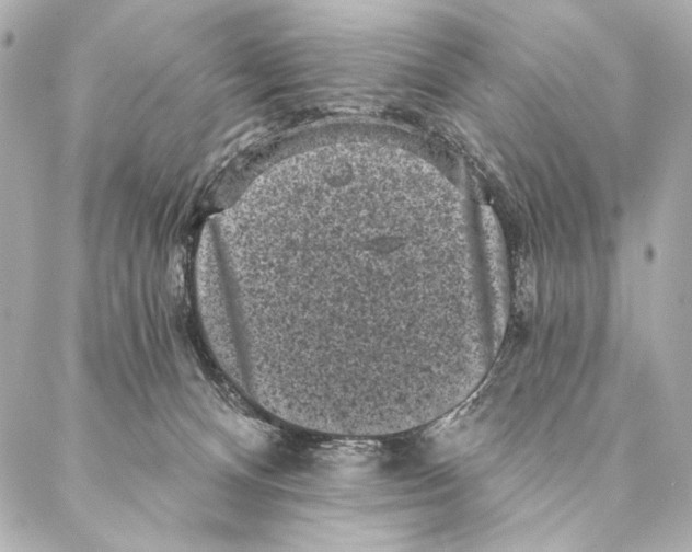 X0000087340128200705111557