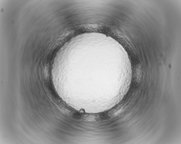 X0000087340131200705111557