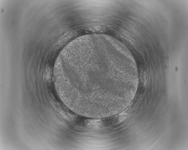 X0000087340132200705111557