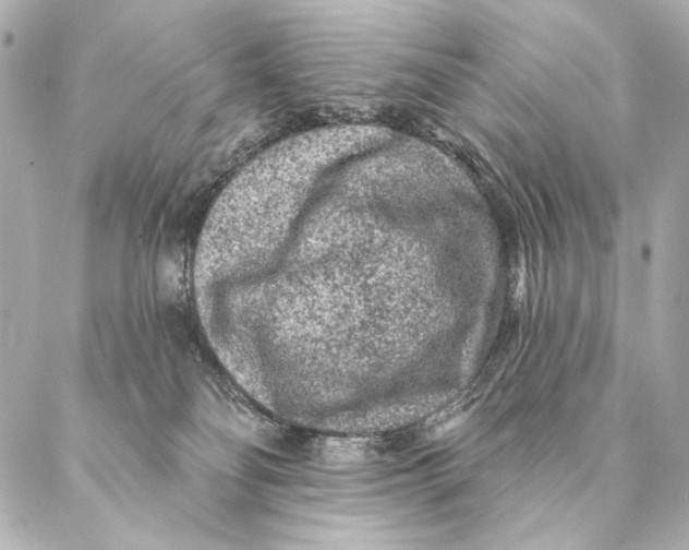 X0000087340134200705111557