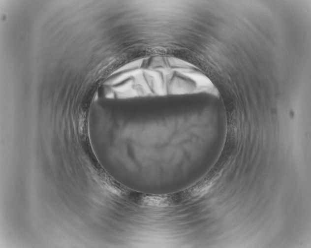 X0000087340139200705111557
