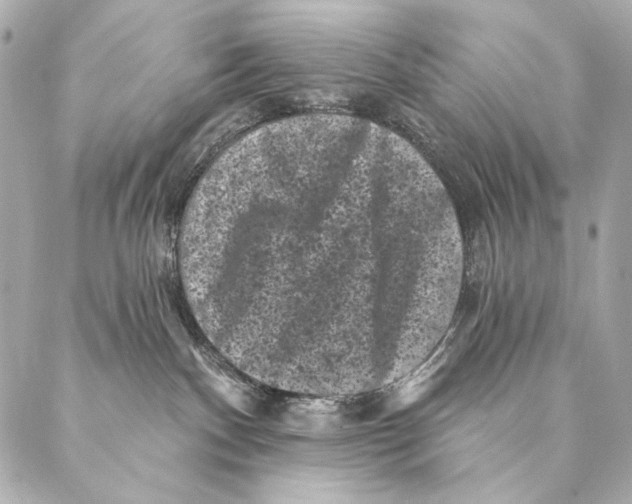 X0000087340140200705111557