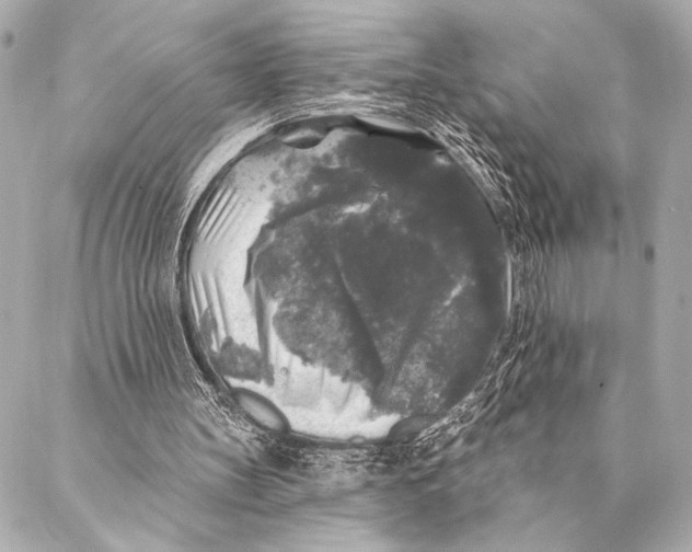 X0000087340147200705111556