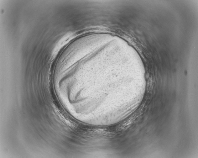 X0000087340151200705111556