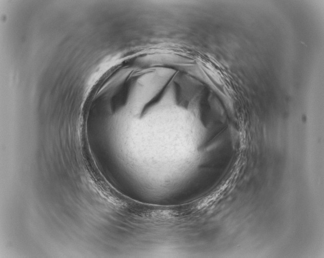 X0000087340152200705111556