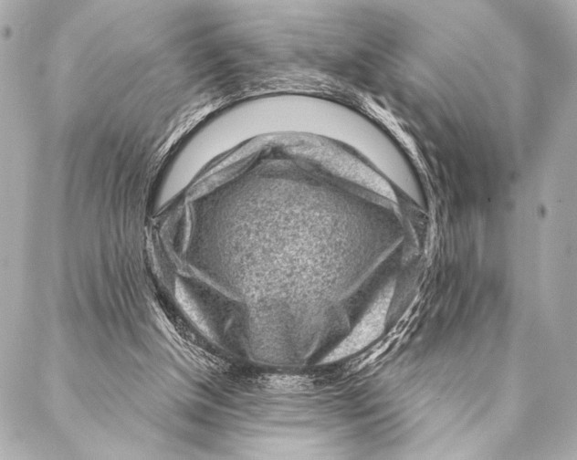 X0000087340154200705111556