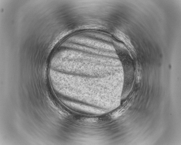 X0000087340156200705111556