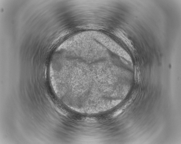 X0000087340157200705111556