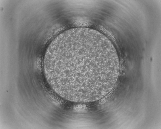 X0000087340162200705111556