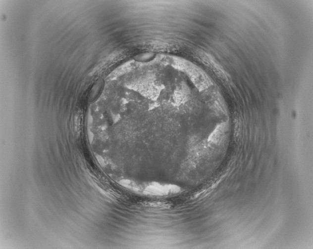 X0000087340165200705111557