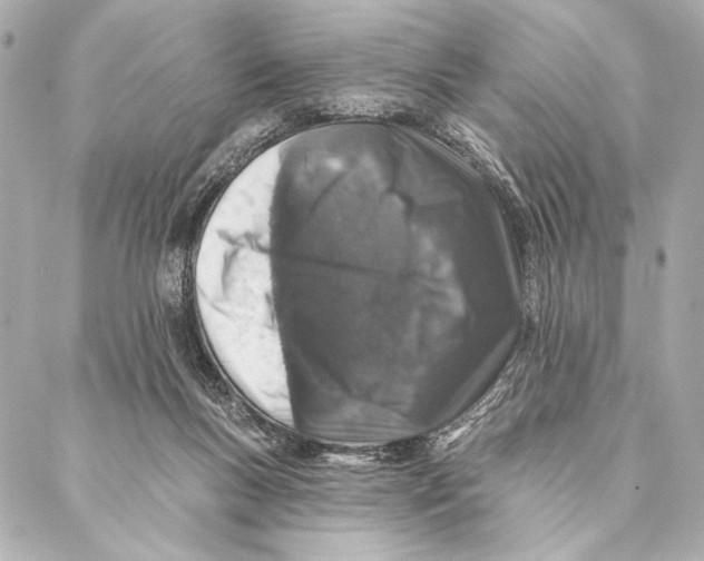 X0000087340167200705111557
