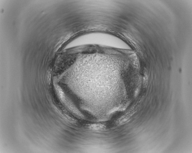 X0000087340168200705111557