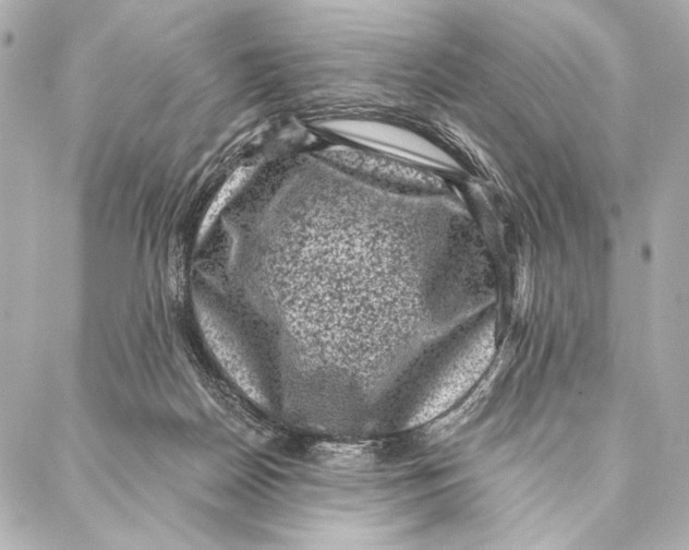 X0000087340170200705111557