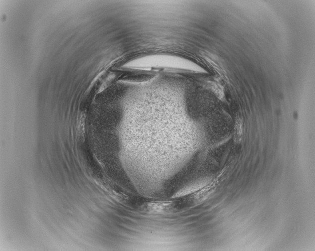 X0000087340172200705111557