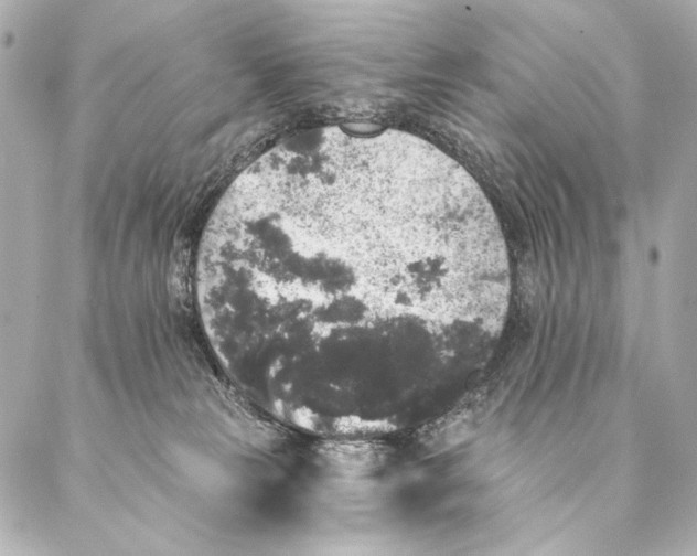 X0000087340181200705111557