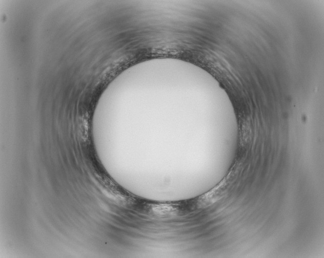 X0000087340183200705111557