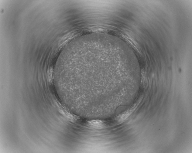 X0000087340189200705111557