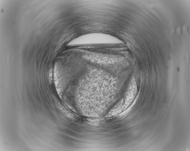X0000087340190200705111557