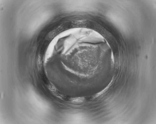 X0000087340191200705111557