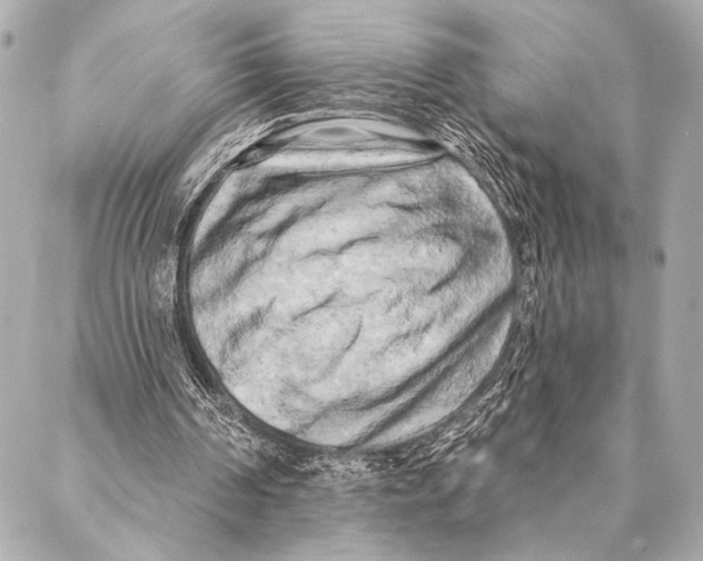 X0000087340194200705111556