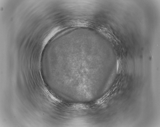 X0000087340195200705111556