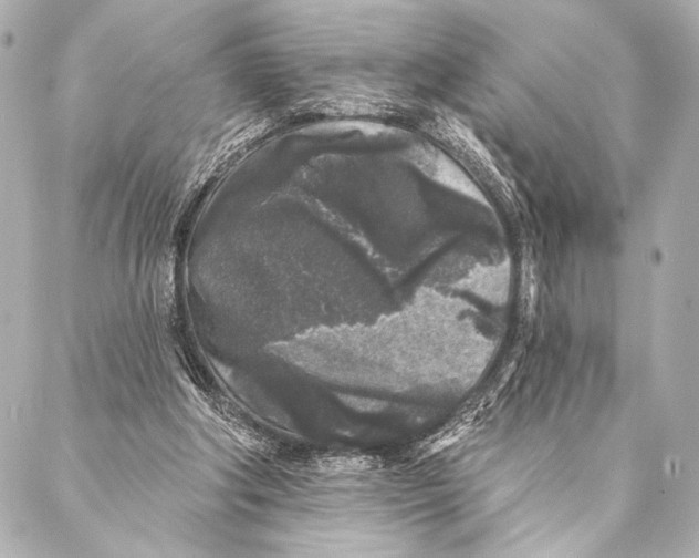 X0000087340202200705111556