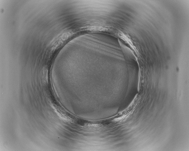 X0000087340205200705111556