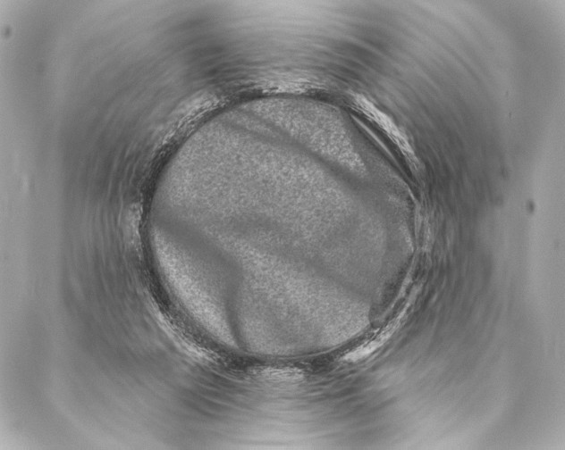 X0000087340209200705111556