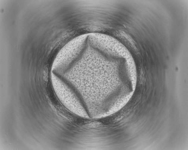 X0000087340210200705111556
