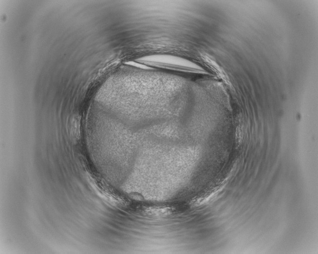 X0000087340213200705111556
