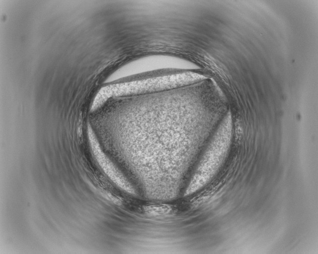 X0000087340215200705111556