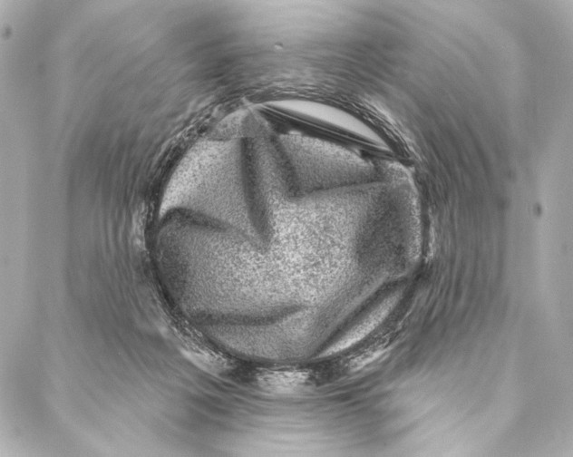 X0000087340217200705111556