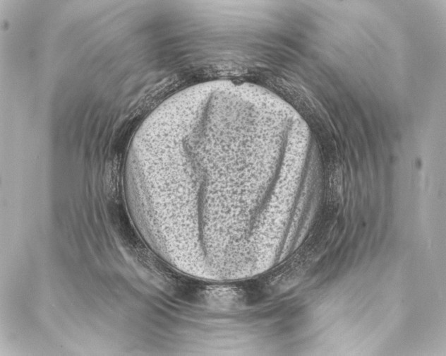 X0000087340218200705111556