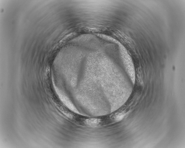 X0000087340225200705111556