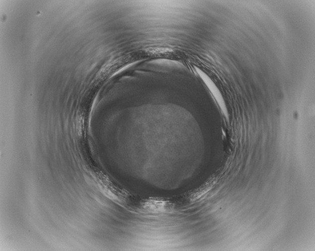 X0000087340227200705111556