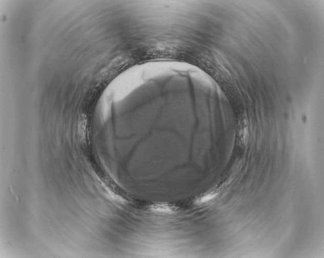 X0000087340231200705111556