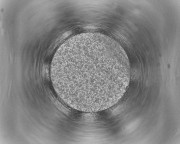X0000087340238200705111555