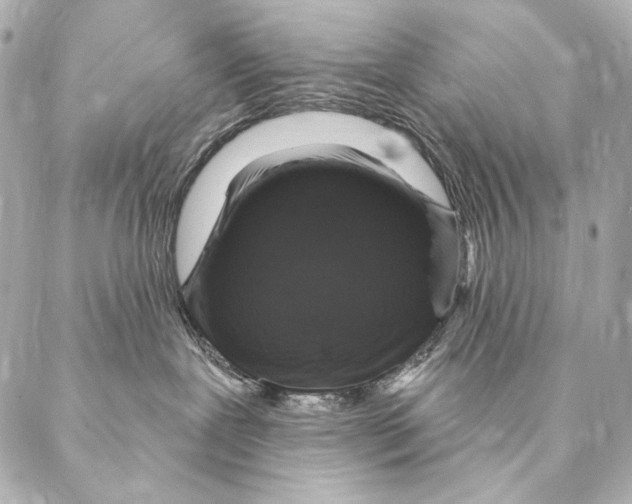 X0000087340239200705111555