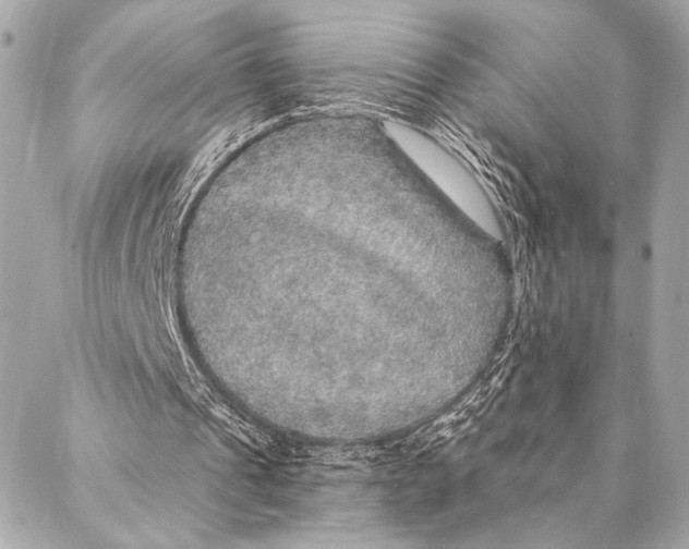 X0000087340241200705111555