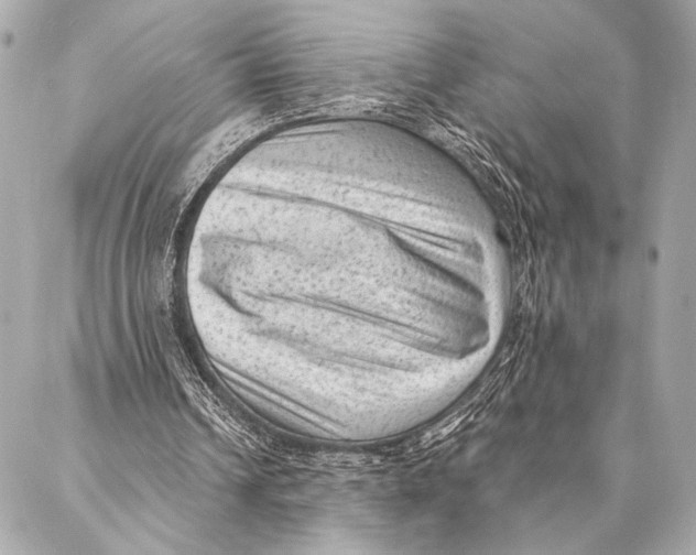 X0000087340242200705111555
