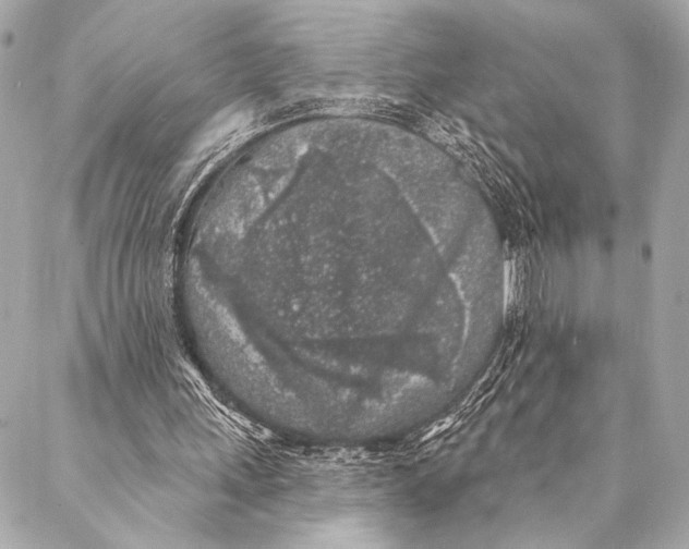 X0000087340243200705111555