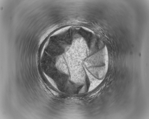 X0000087340244200705111555
