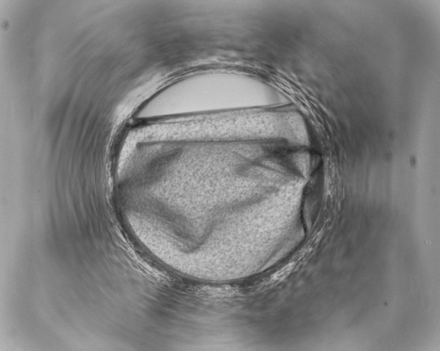 X0000087340245200705111555