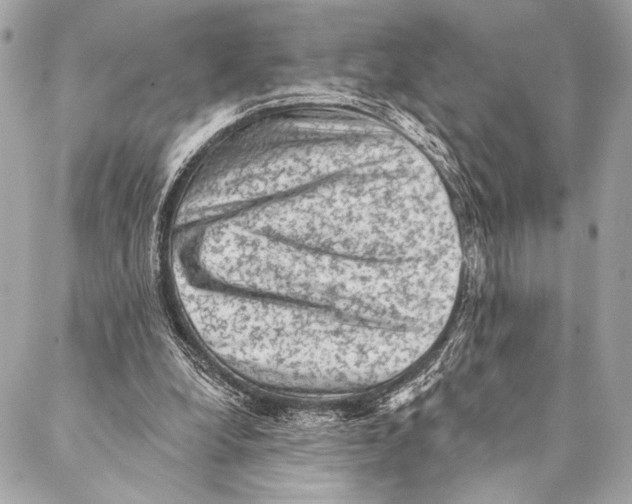 X0000087340248200705111555