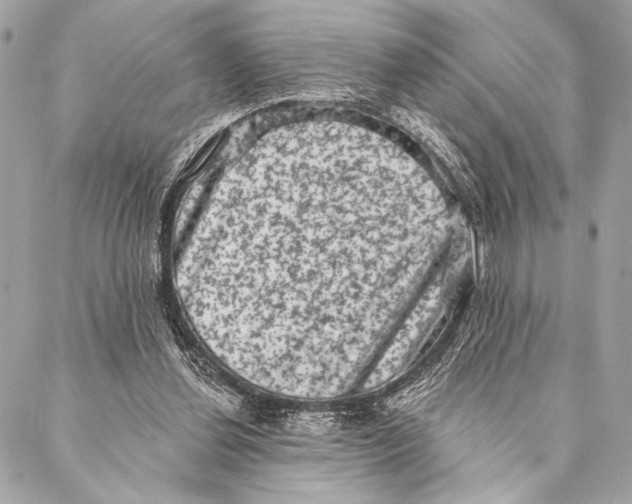 X0000087340252200705111555
