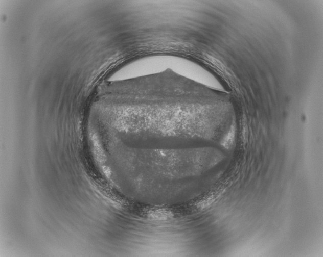 X0000087340258200705111555
