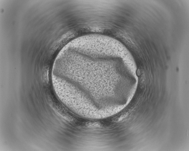 X0000087340262200705111555